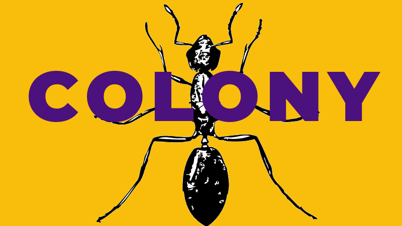 image showing the cover of our game 'colony'